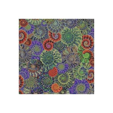 Tissu Kaffe Fassett - Ammonites dark