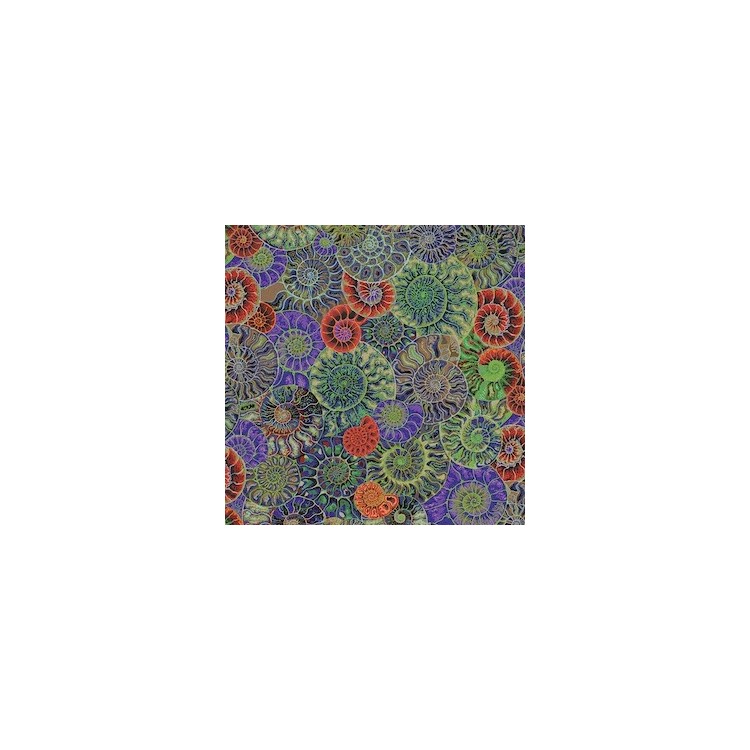 Tissu Kaffe Fassett - Ammonites dark