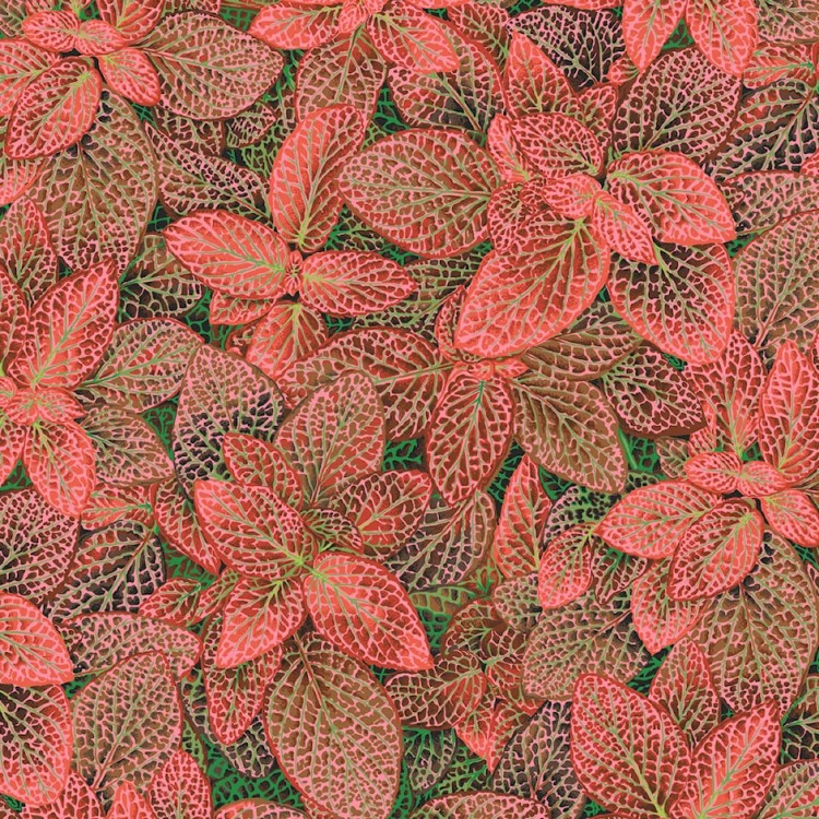 Tissu Kaffe Fassett - Fittonia Red