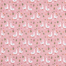 Tissu coton - Blanchette rose