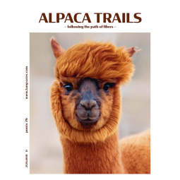 Catalogue Lang Yarns - Punto 76 - Alpaca trails